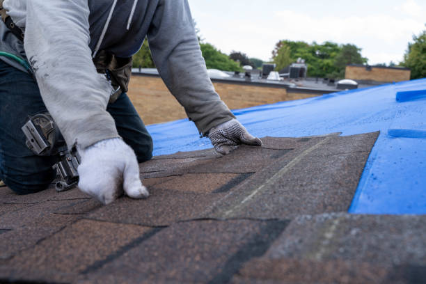 Best Roof Waterproofing Services  in Half Moon, NC